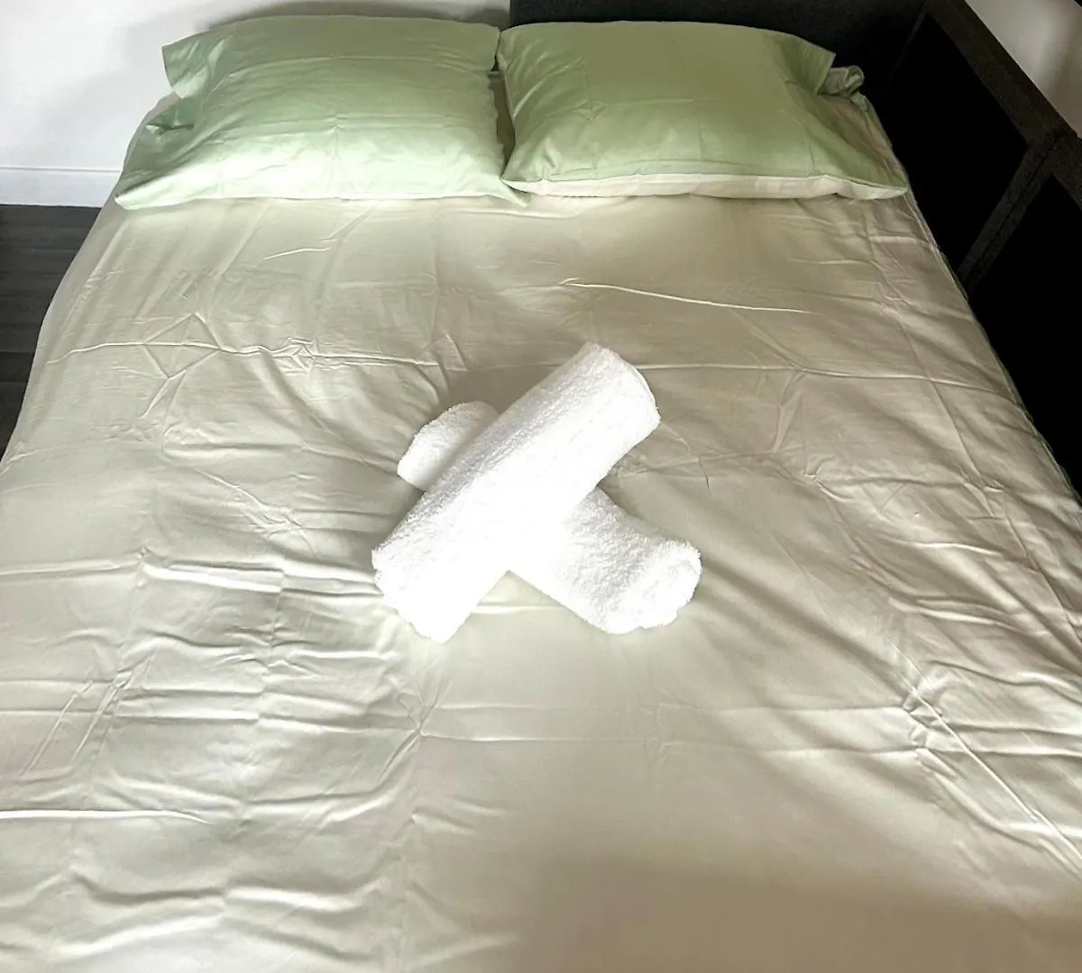 Le Holly - Appartement Centre Ville Climatise Albi
